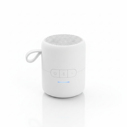 Portable Bluetooth Speaker